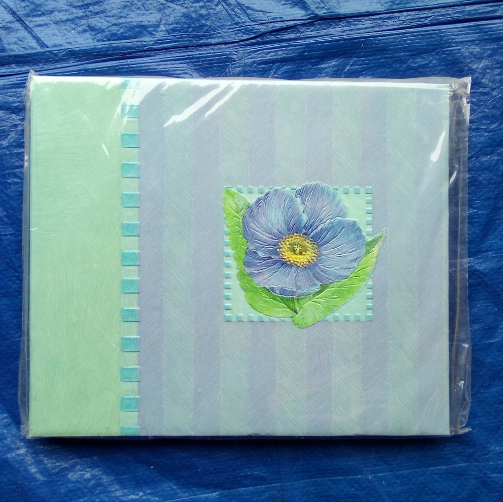 K&Company Scrapbook Floral Blue and Green